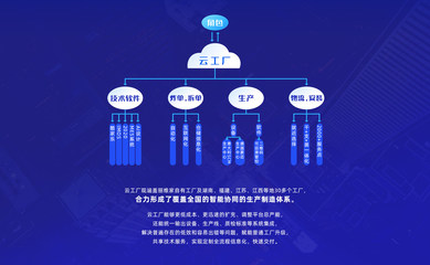 麗維家 打造互聯(lián)網(wǎng)時代的木匠新標桿